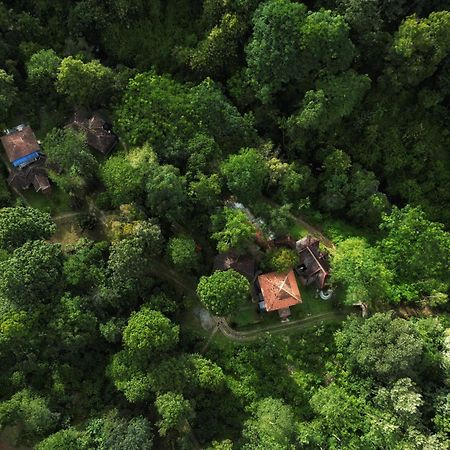 Mahout Resort Wayanad - An Experiential Jungle Stay With Waterfall 칼파타 외부 사진
