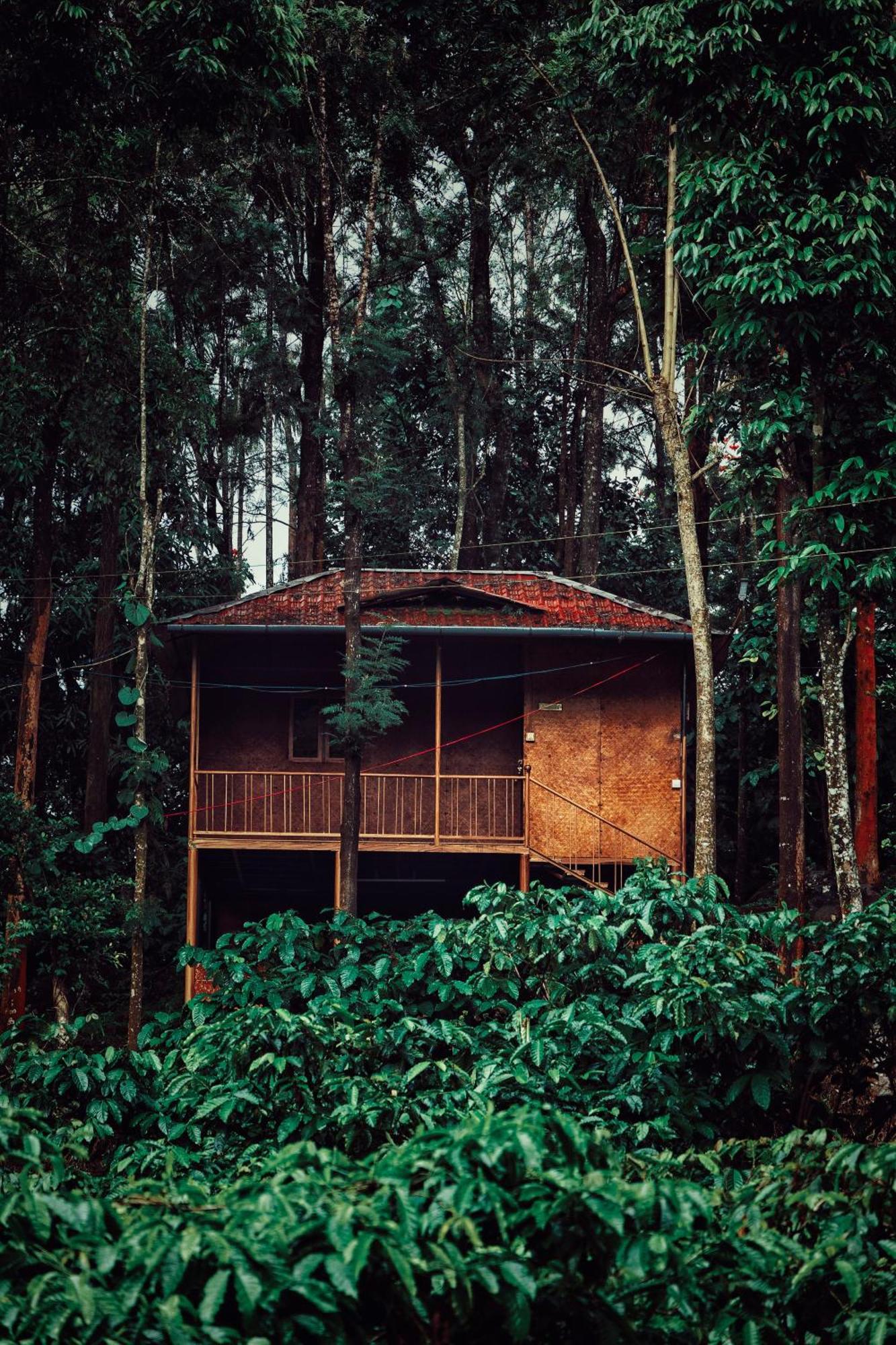 Mahout Resort Wayanad - An Experiential Jungle Stay With Waterfall 칼파타 외부 사진