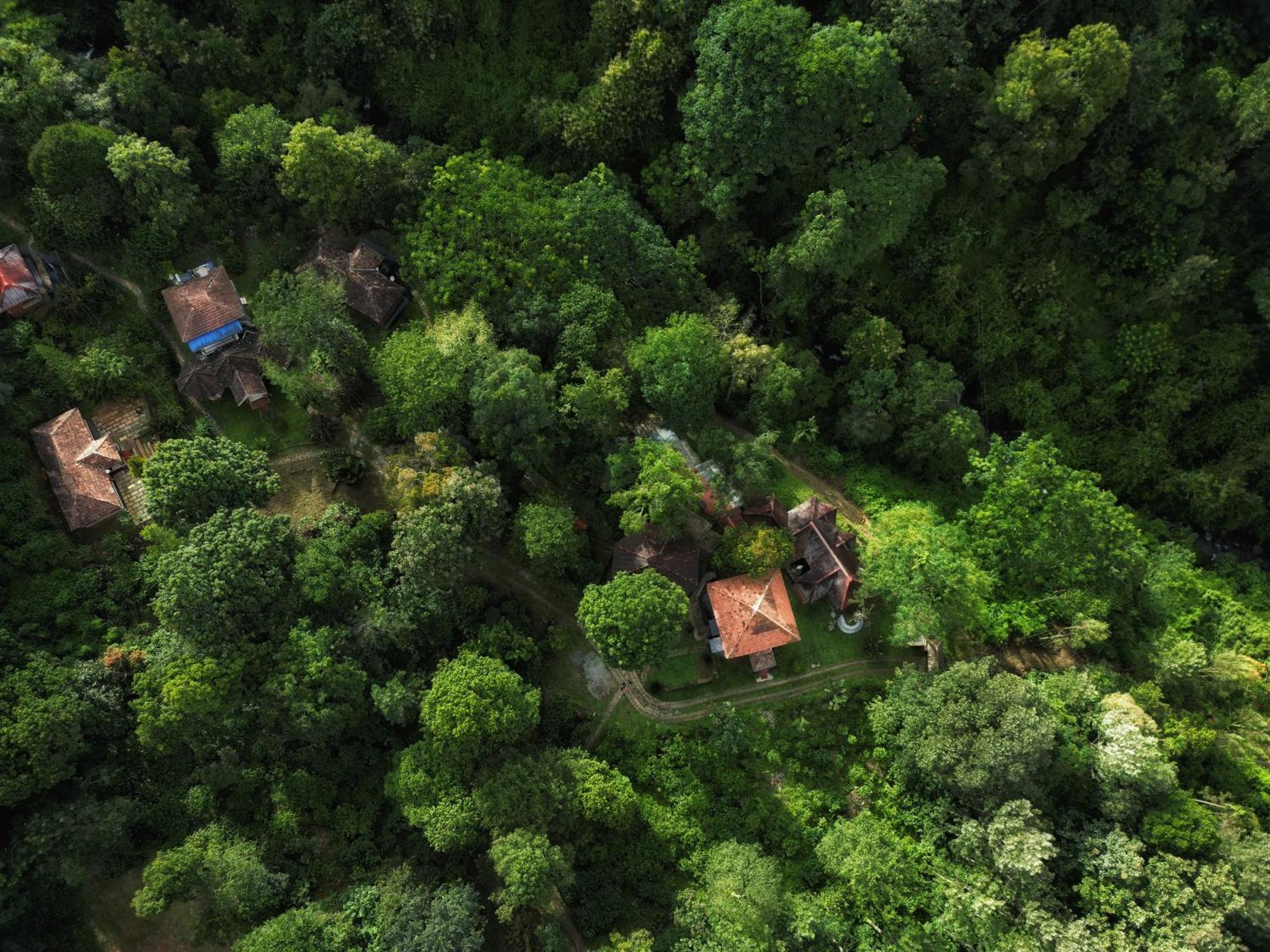 Mahout Resort Wayanad - An Experiential Jungle Stay With Waterfall 칼파타 외부 사진