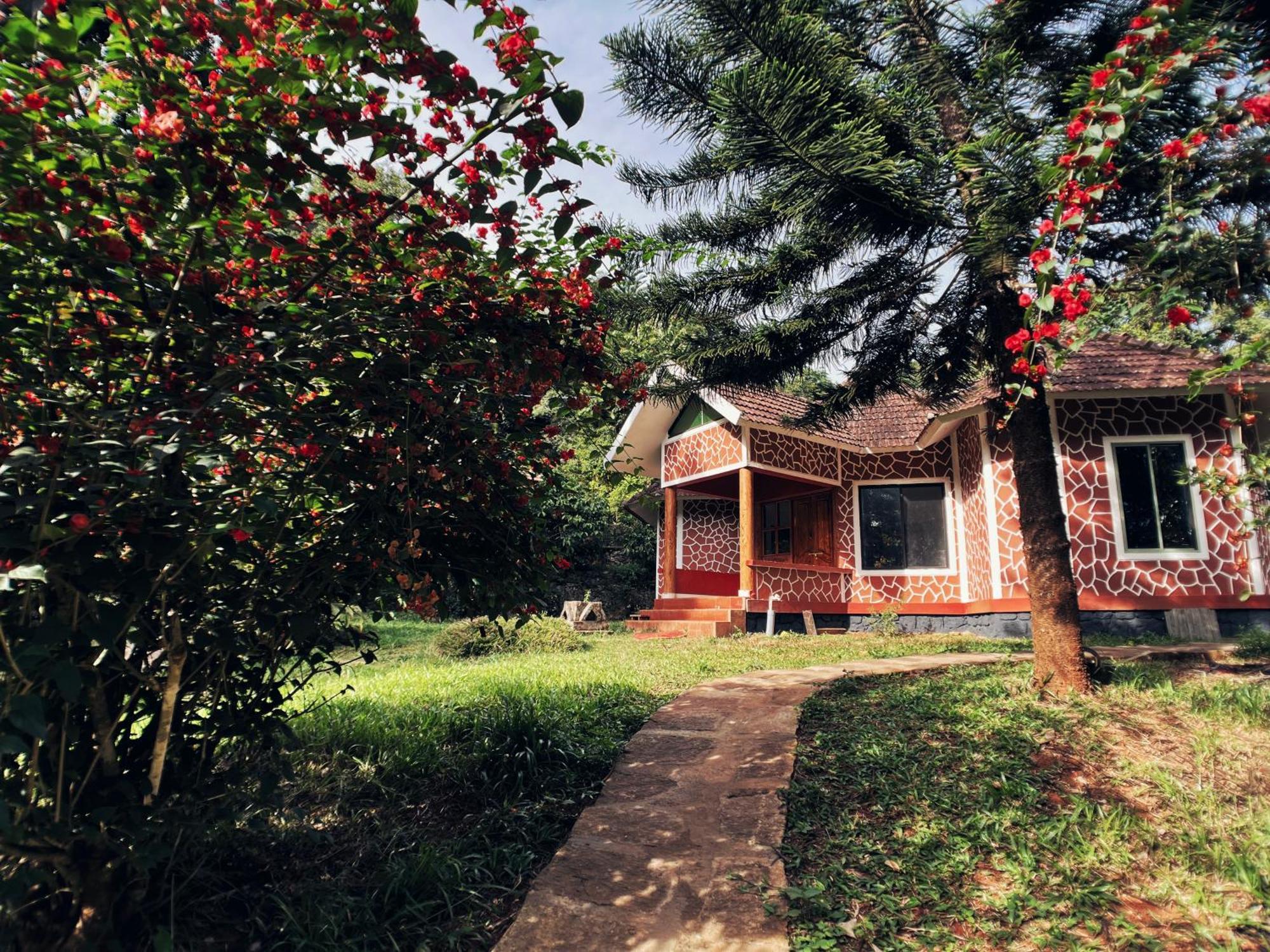 Mahout Resort Wayanad - An Experiential Jungle Stay With Waterfall 칼파타 외부 사진