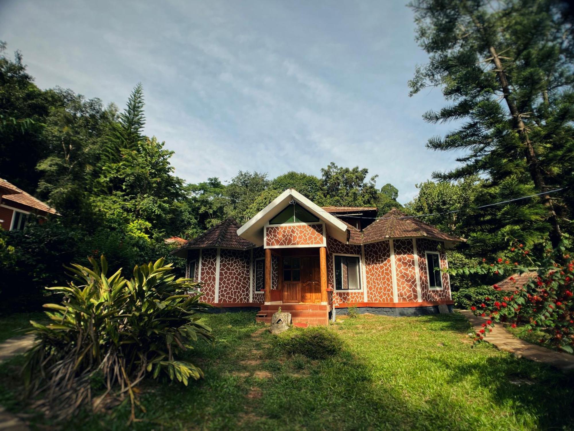 Mahout Resort Wayanad - An Experiential Jungle Stay With Waterfall 칼파타 외부 사진