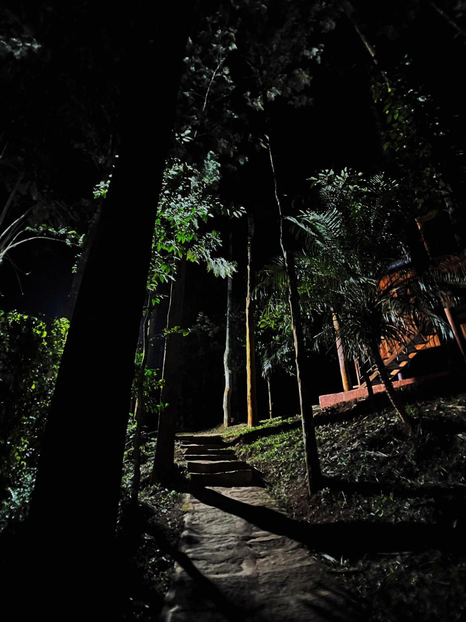 Mahout Resort Wayanad - An Experiential Jungle Stay With Waterfall 칼파타 외부 사진