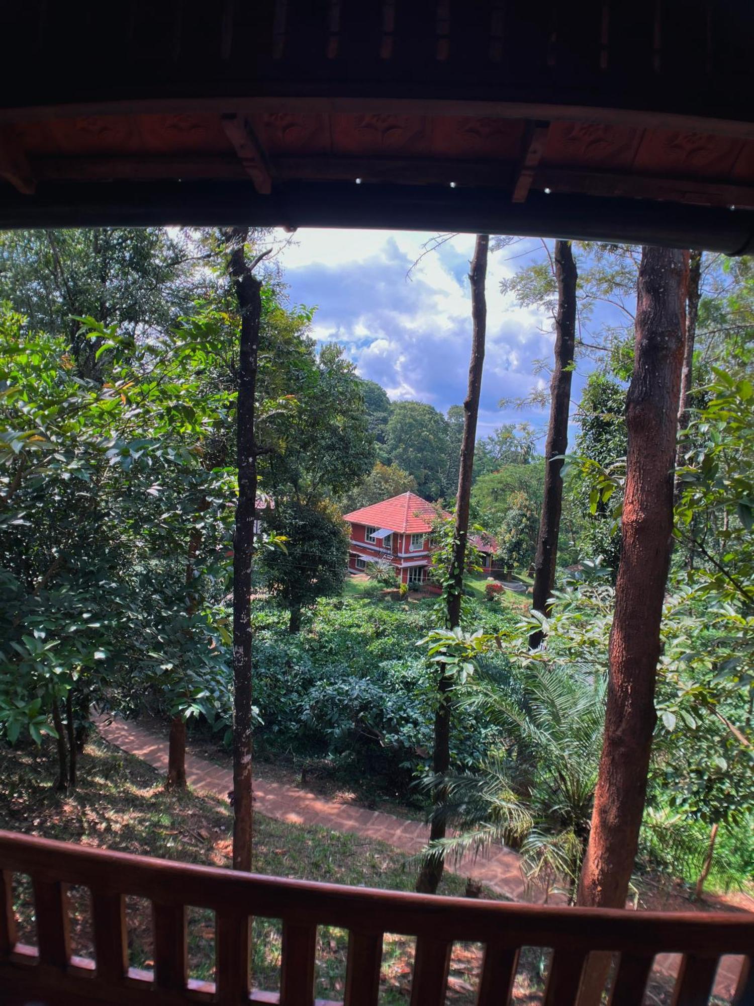 Mahout Resort Wayanad - An Experiential Jungle Stay With Waterfall 칼파타 외부 사진