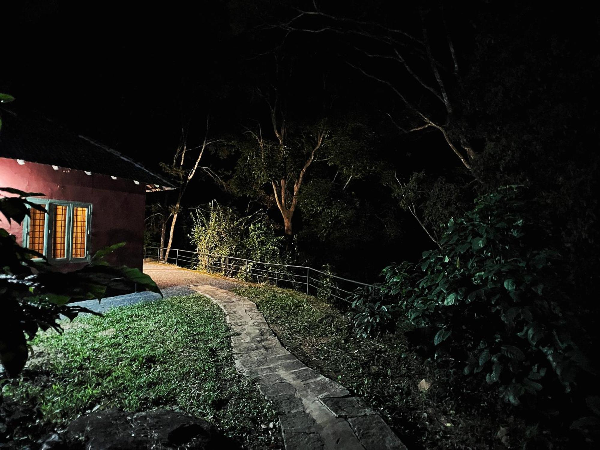 Mahout Resort Wayanad - An Experiential Jungle Stay With Waterfall 칼파타 외부 사진