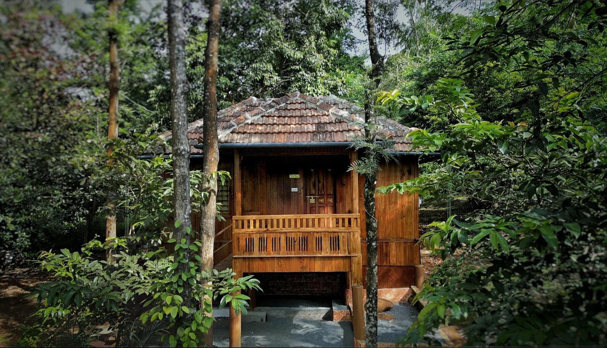 Mahout Resort Wayanad - An Experiential Jungle Stay With Waterfall 칼파타 외부 사진